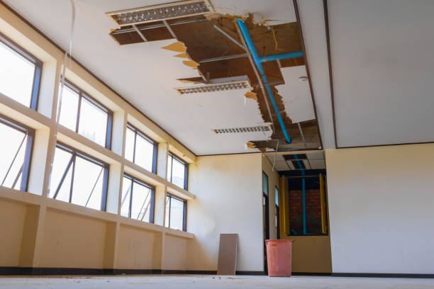 Best Water damage cleanup near me  in Mount Pleasant, WI