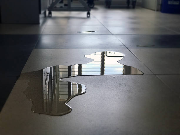 Best Water damage restoration insurance claims  in Mount Pleasant, WI