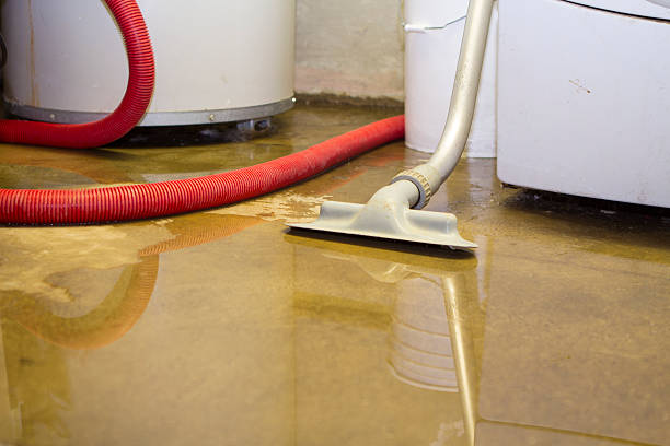 Best Water damage restoration services  in Mount Pleasant, WI