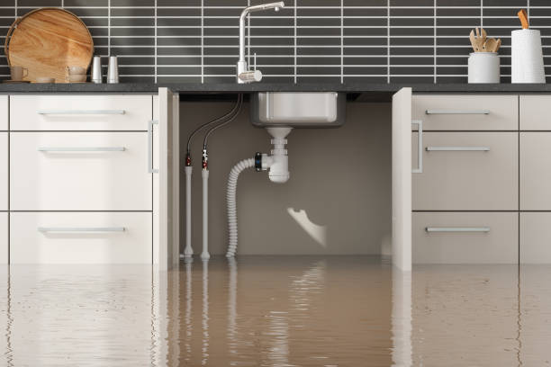 Best Carpet water damage restoration  in Mount Pleasant, WI