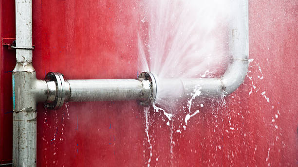 Best Water damage repair service  in Mount Pleasant, WI